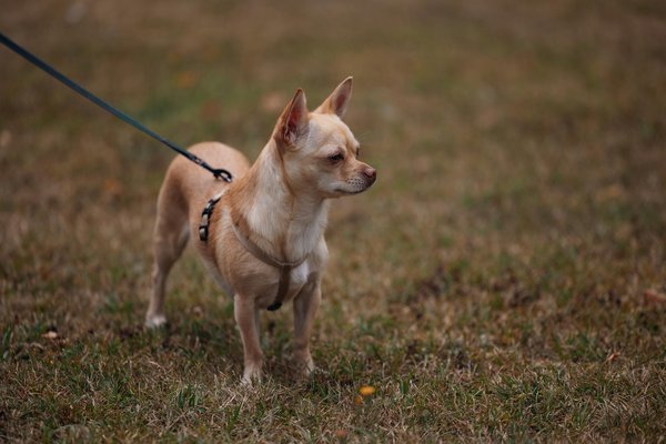 ¿Qué tecnologías están impulsando el futuro del trabajo?