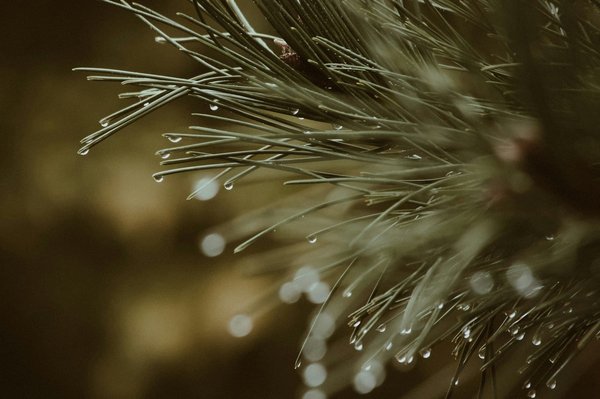 ¿Qué ejercicios de fuerza son más efectivos para los jugadores de hockey sobre césped?